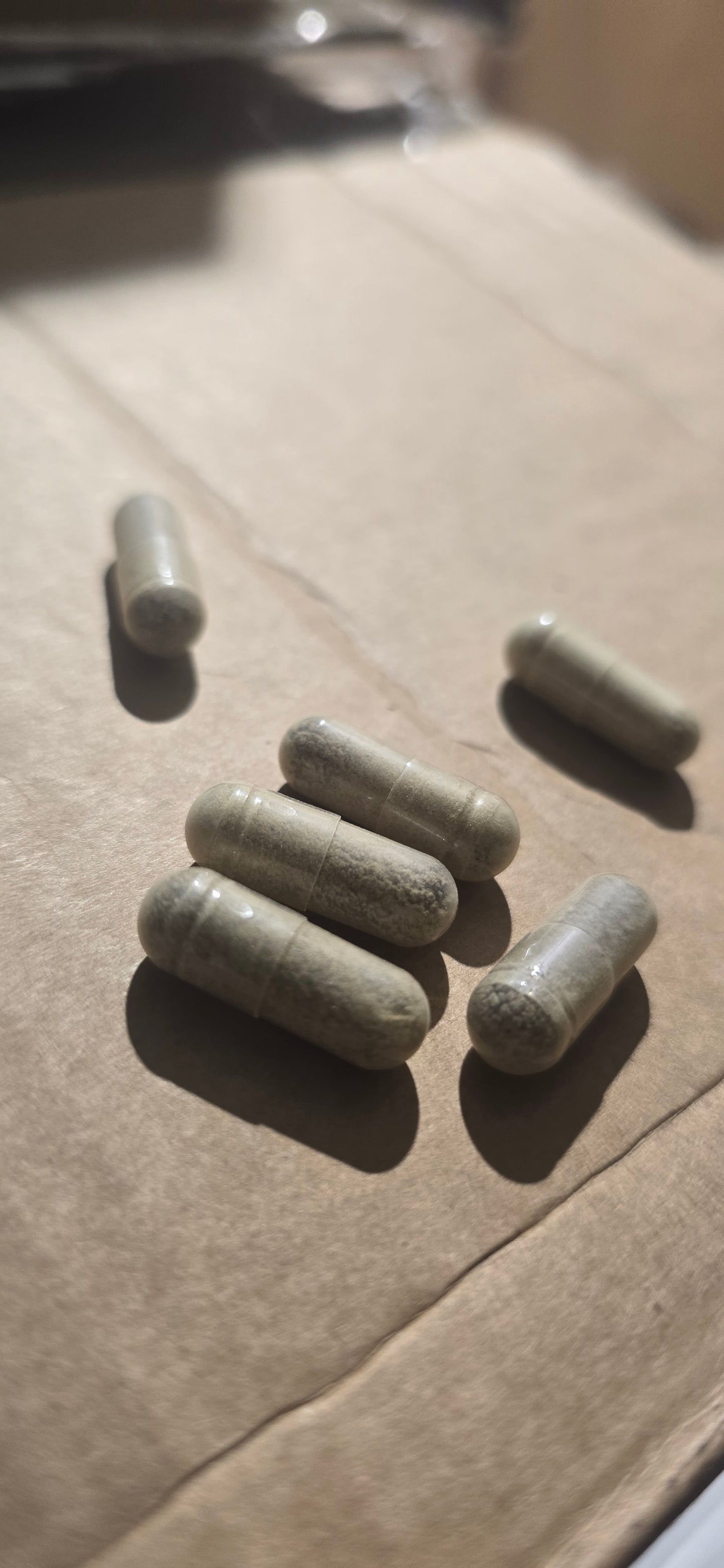 Tribulus Terrestris- bulk/wholesale - 12k capsules